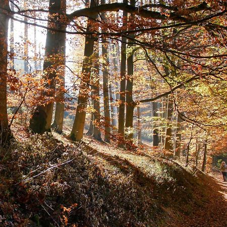 Ferienwohnung Eggeblick Altenbeken Bagian luar foto