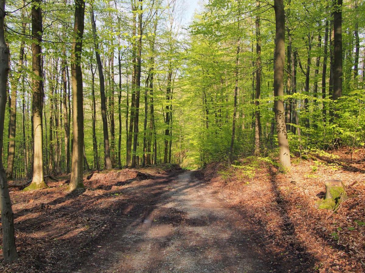 Ferienwohnung Eggeblick Altenbeken Bagian luar foto