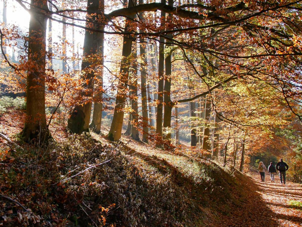 Ferienwohnung Eggeblick Altenbeken Bagian luar foto